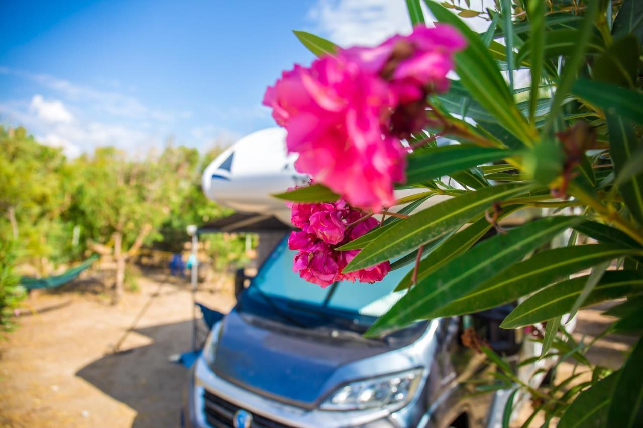 Village & Camping La Foce Valledoria  Zewnętrze zdjęcie